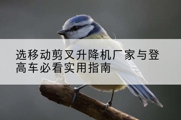 罗田电动升降机厂家-选移动剪叉升降机厂家与登高车必看实用指南