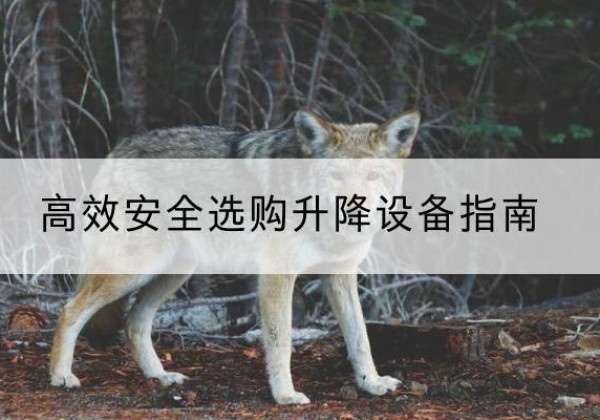 罗田升降货梯厂家推荐-*安全选购升降设备指南