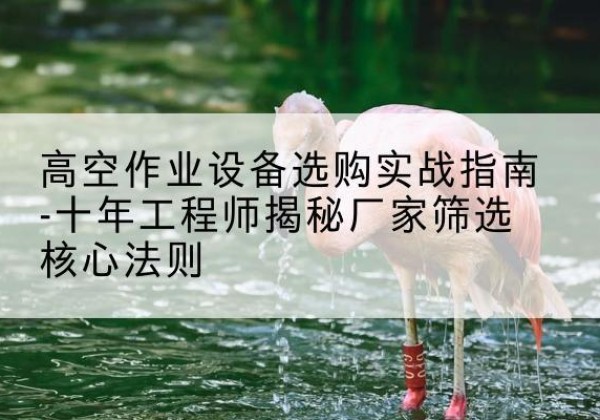 罗田剪叉式升降机厂家-高空作业设备选购实战指南-十年工程师揭秘厂家筛选核心法则